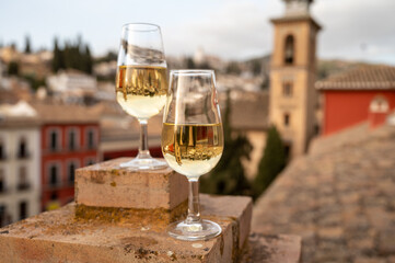 Tasting of sweet and dry fortified Vino de Jerez sherry wine with view on roofs and houses of old andalusian town