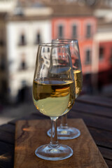 Tasting of Spanish sweet and dry fortified Vino de Jerez sherry wine with view on roofs and houses of old andalusian town