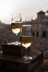 Tasting of sweet and dry fortified Vino de Jerez sherry wine with view on roofs and houses of old andalusian town