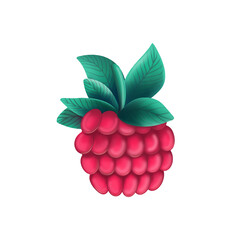 illustration of vivid ripe raspberry with bunch of green leaves isolated on white background