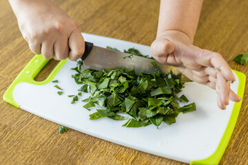Hands chopping ora-pro-nobis (Pereskia aculeata), a protein-rich edible plant used in Brazilian cuisine