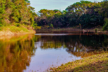 Colonia Benites, Chaco, Argentina. Naturaleza exuberante.