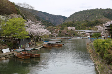 Fototapeta na wymiar Overlooking the beautiful Katsura River in Kyoto in the spring.