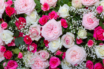 Backdrop of roses, Flowers wall background, Wedding decoration. Natural flowers wall background.