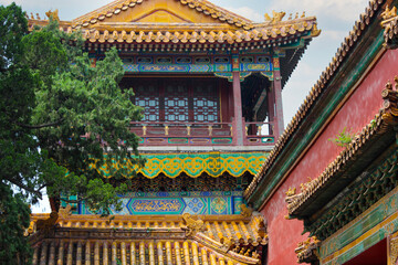 Fototapeta premium landscape photography of the Imperial Garden in the Forbidden City, in Beijing China