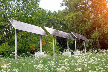Solar panels in the park area. Green energy.