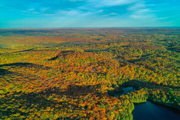 Drone shot of Lakes and ponds in autumn