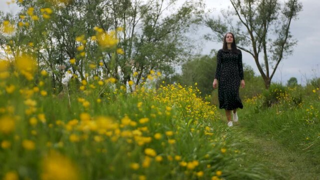 Ground view of beautiful caucasian lady in black dress strolling in flower-filled meadow. Cute white girl enjoying her walk in middle of nature. Charming female following a trail in flowery field
