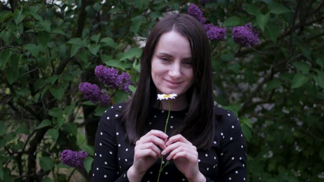 Portrait of stunning caucasian girl sniffing a single camomile flower and smiling to camera. Attractive white woman in black dotted dress enjoying smell of flower with purple lilacs in background
