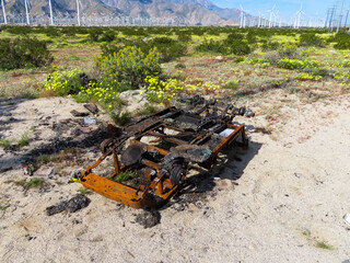 Spring Flowers in California Desert Field with a Burnt out Car Symbolizing Industry Vs Nature