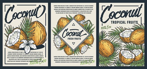 Coconut poster. Summer exoic fruit and nuts with palm leaves design