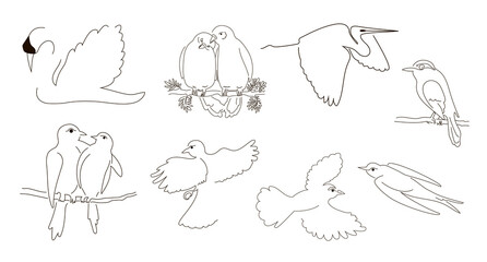 Set of eight drawings of birds in the style of one line. Vector illustration isolated on a white background