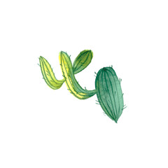 Watercolor green and yellow cactus