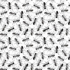 Watercolor illustrated ants in black color. Hand painted insects pattern