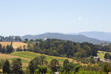 Fototapeta na wymiar A mountain landscape in the Yarra Valley in Melbourne, Victoria