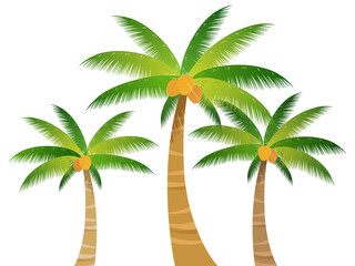 ヤシの木_ベクターイラスト