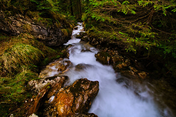 waterfall in the forest