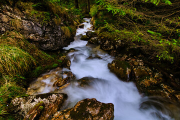 waterfall in the forest