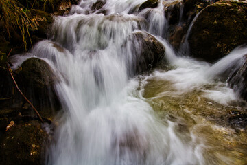 Fototapeta premium waterfall in the forest