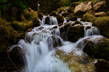 waterfall in the forest