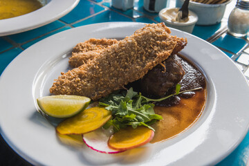 Coconut trout, typical Mexican food, fish wrapped in a coconut crust, on a mirror of tamarind sauce, accompanied by a spring roll.