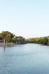Beautiful landscape near a pier with abundant vegetation during a summer afternoon