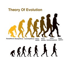 Theory of Evolution of human vector illustration silhouette isolated
 - obrazy, fototapety, plakaty