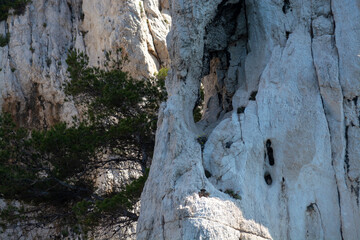 Limestone cliffs near Cassis, boat excursion to Calanques national park in Provence, France
