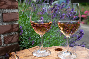 French rose wine from Provence, two glasses of wine with purple lavender flowers on background