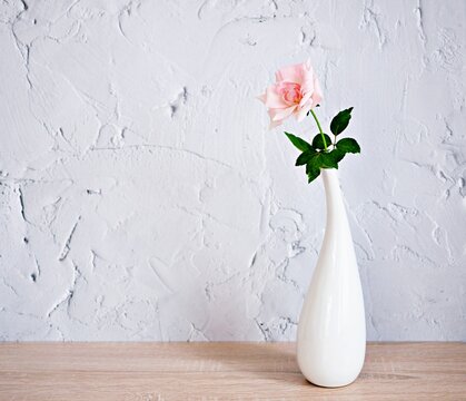 Pink rose in white vase on wood table beautiful pastel pink copy space for text or lettering flower in ceramic on wooden table ,texture cement background or wallpaper ,creative celebrating card 