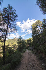 Trails with wonderful views of the Sierra De Cazorla, Spain. Nature tourism concept.