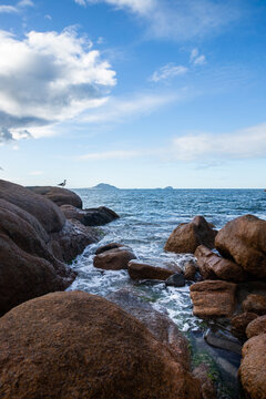 Coast Of Southern Brazil