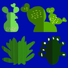 Set of cute cactus and succulents.  Vintage silhouette style illustration.  Vector illustration in flat style. Succulent set.