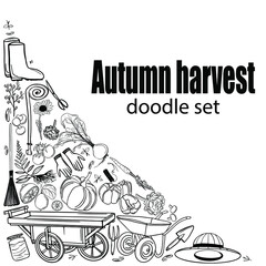 autumn harvest doodle set. Hand-drawn illustration. line art of vegetables and garden tools.