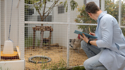 Young man in white coat write clipboard checking chicken in hen house. Farmers inspect and record the quality data of the chicken, veterinarian is checking poultry health in farm.Farmer production. © Kiattisak