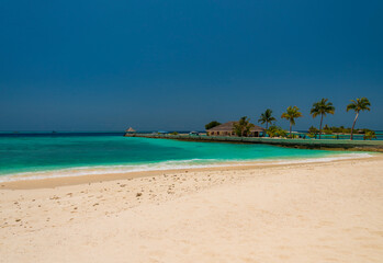 Perfect tropical island Maldives paradise beach Beautiful palm trees and tropical beach