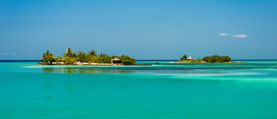 Perfect tropical island Maldives paradise beach Beautiful palm trees and tropical beach