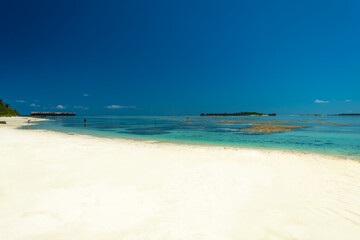 Fototapeta na wymiar Perfect tropical island Maldives paradise beach Beautiful palm trees and tropical beach