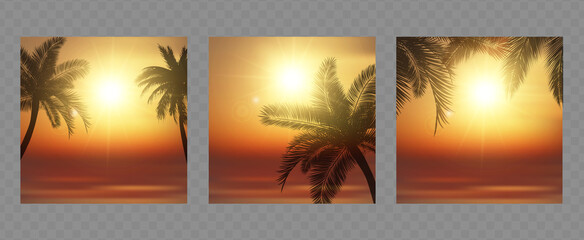 Tropical beach sunset vector illustration. Silhouette of palm trees against a sunset ocean