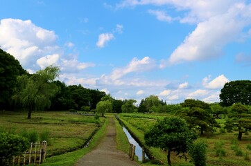Fototapeta na wymiar 新緑に癒される　初夏の風景　爽やかな日　古河