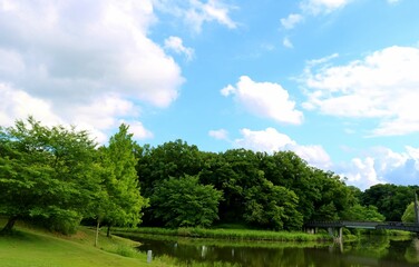 Fototapeta na wymiar 新緑に癒される　初夏の風景　爽やかな日　古河
