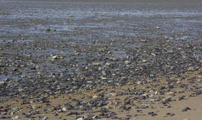 
It is a beach with tidal flats and sandy beaches.