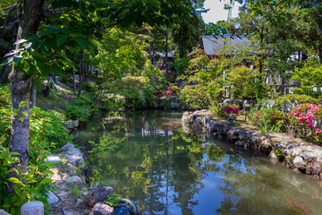Fototapeta na wymiar 緑に囲まれた庭園の池
