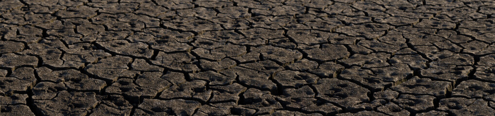 Earth cracked because of drought. The global shortage of water on the planet. Global warming concept. Dry cracks in the land.