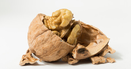 Walnuts are rounded, single-seeded stone fruits of the walnut tree. Cracking a nut.