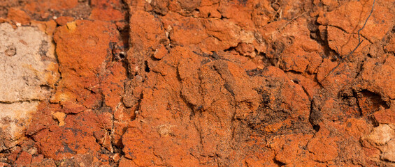 Sedimentary rocks with a high content of iron oxide. Red soil, loam. The texture of the soil.