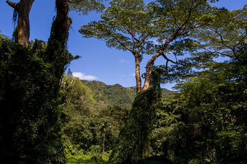 The island of Oahu in Hawaii