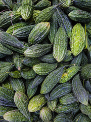 fresh bitter guard many close up from top angle