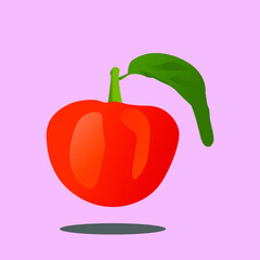 red tomato on pink background.