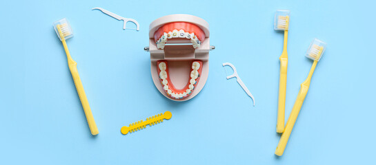 Model of jaw with dental braces, toothpicks and brushes on light blue background